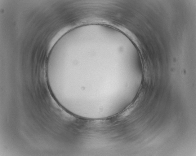 X0000074311390200609151956