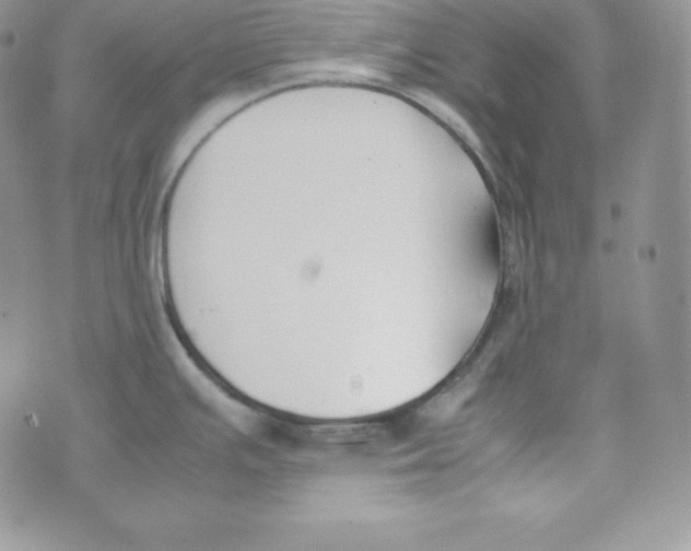 X0000074311391200609151956