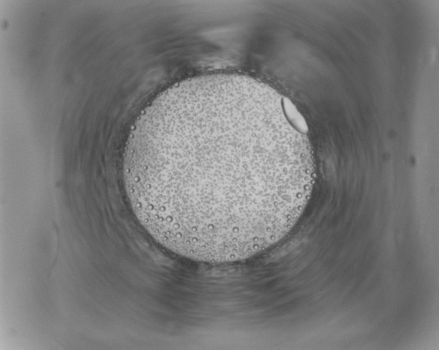 X0000074311393200609151955