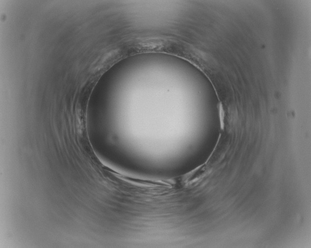 X0000074311394200609151955