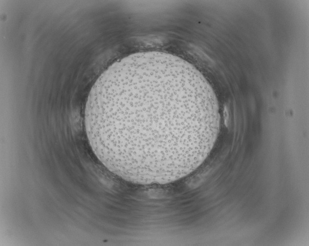 X0000074311395200609151955