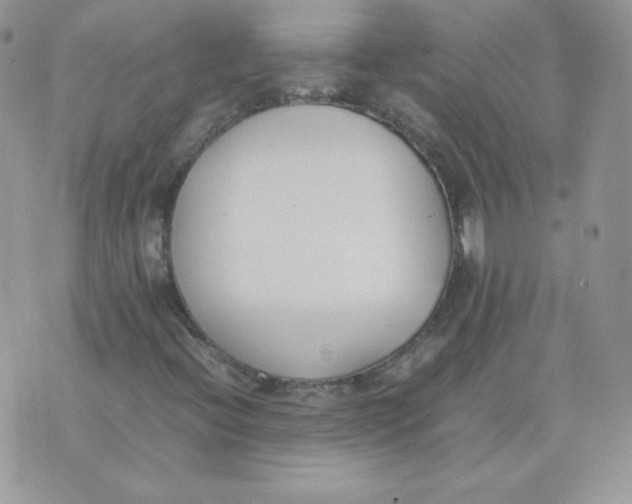 X0000074311396200609151955