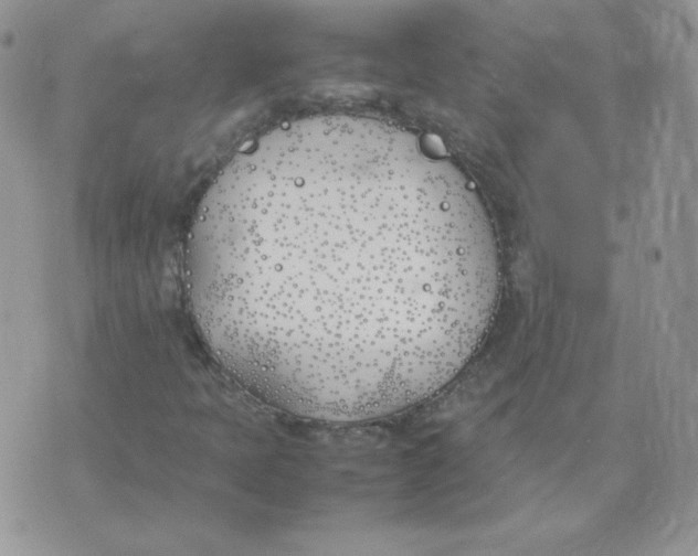 X0000074311397200609151955