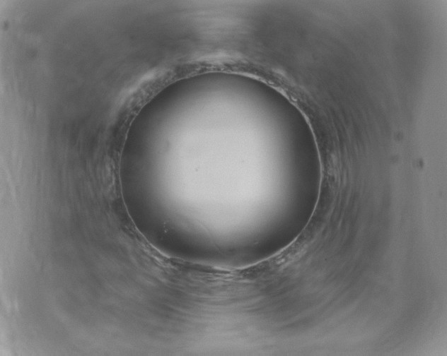 X0000074311398200609151955