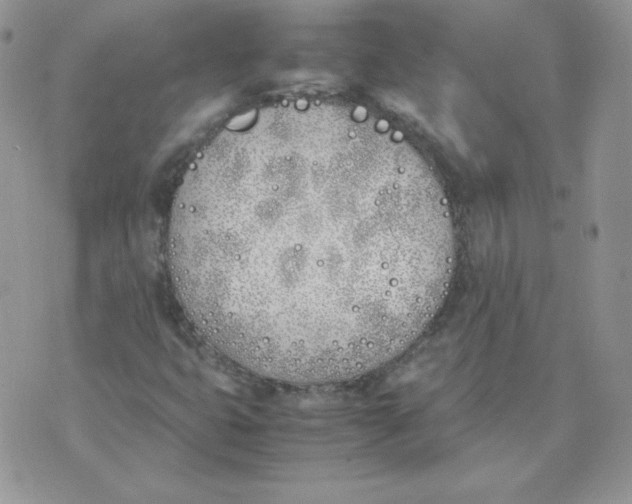 X0000074311399200609151955