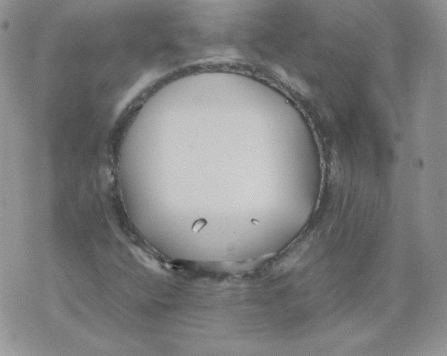 X0000074311400200609151955