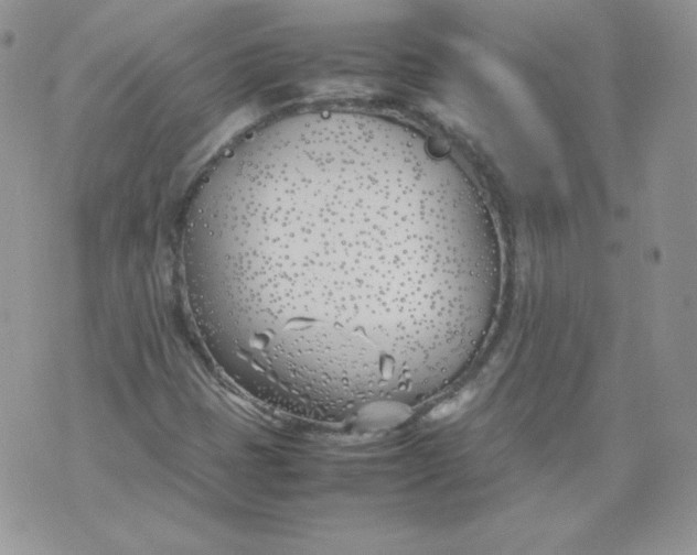 X0000074311401200609151955