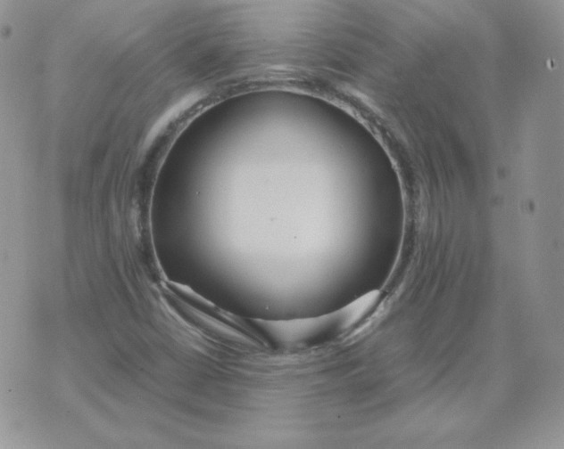 X0000074311402200609151955