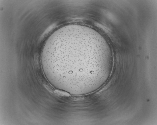 X0000074311403200609151955