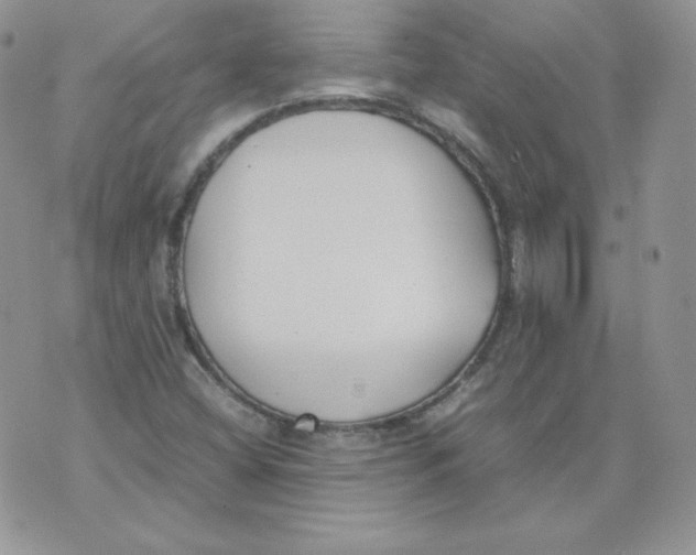 X0000074311404200609151955