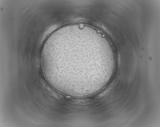 X0000074311405200609151955