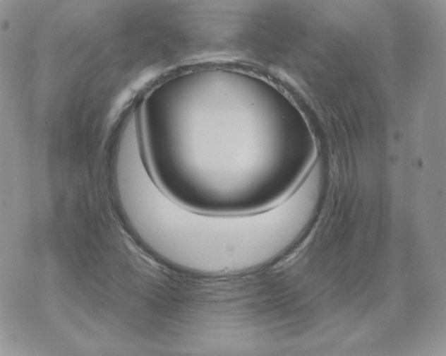 X0000074311406200609151955