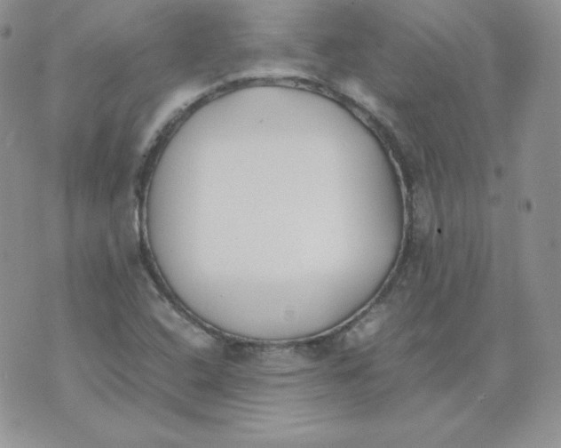 X0000074311408200609151955