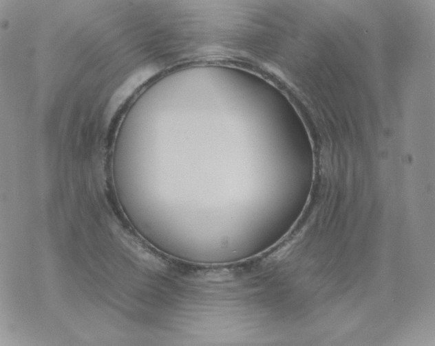 X0000074311410200609151955