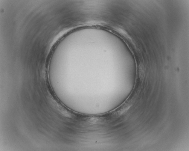 X0000074311412200609151955