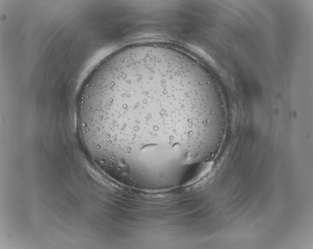 X0000074311413200609151955