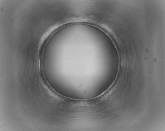 X0000074311414200609151955