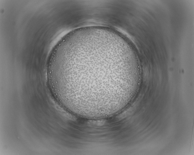 X0000074311415200609151955