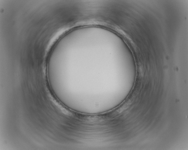 X0000074311416200609151955