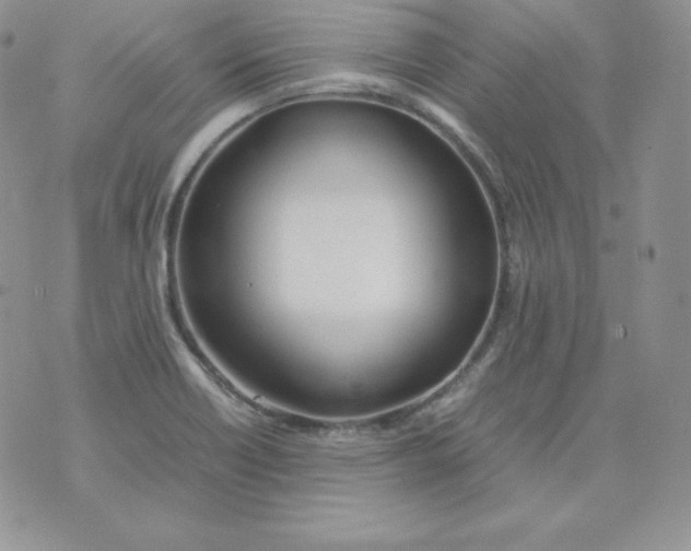 X0000074311418200609151955