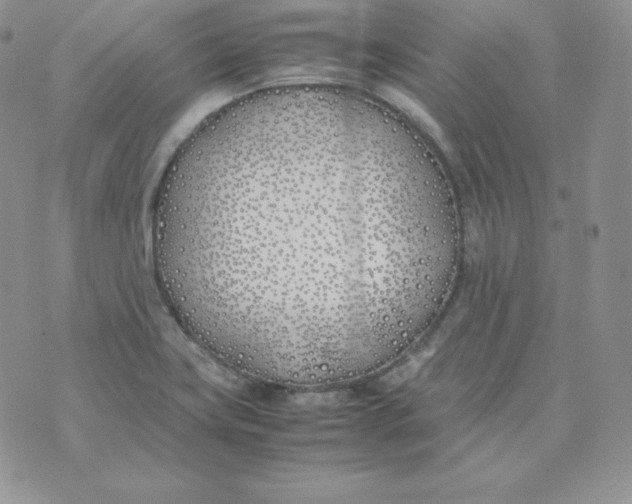 X0000074311419200609151955