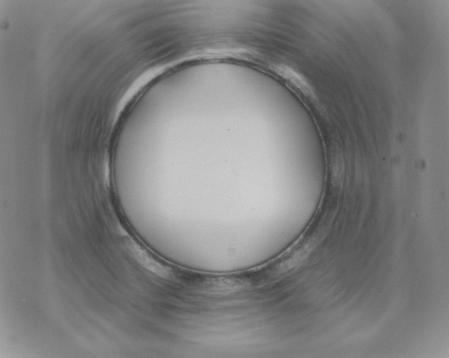 X0000074311420200609151955