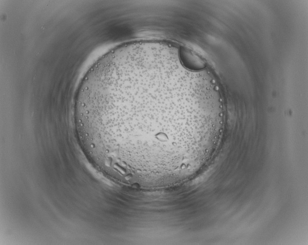 X0000074311421200609151955