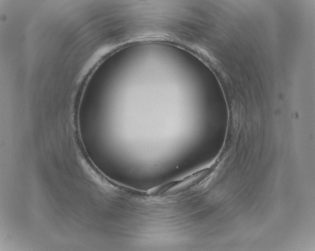 X0000074311422200609151955