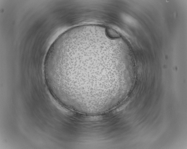 X0000074311423200609151955