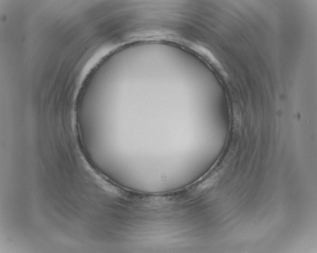 X0000074311424200609151955