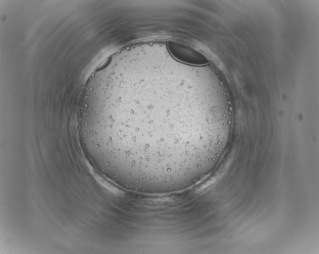 X0000074311425200609151955