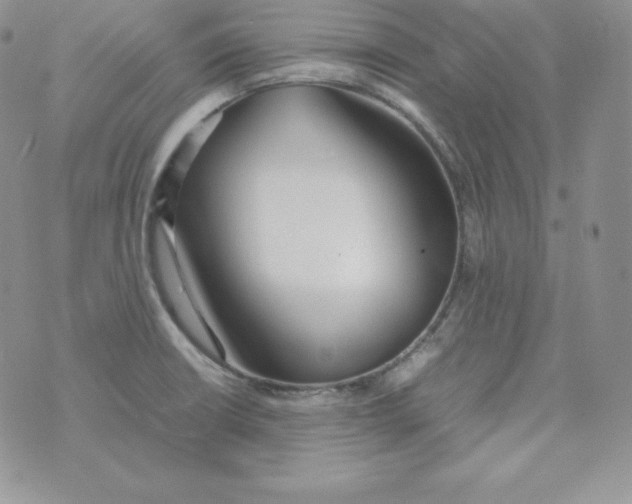 X0000074311426200609151955