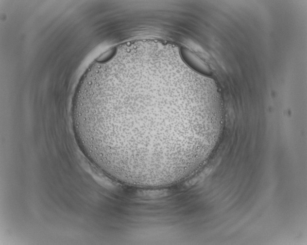 X0000074311427200609151955