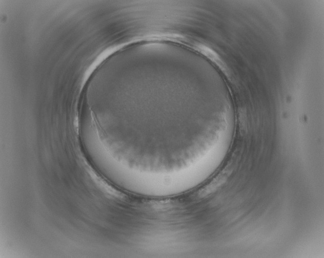 X0000074311428200609151955