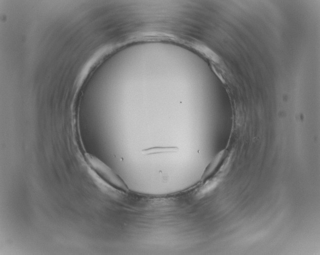 X0000074311430200609151955