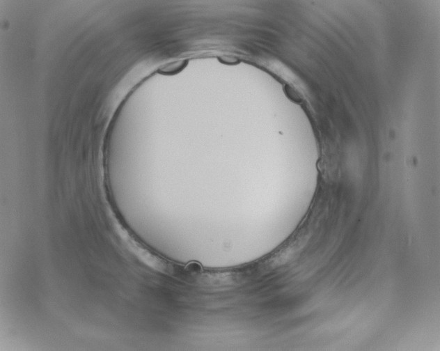 X0000074311431200609151955