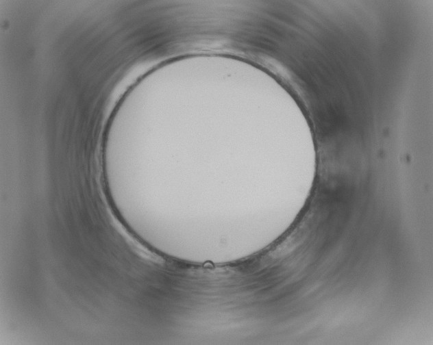 X0000074311432200609151955