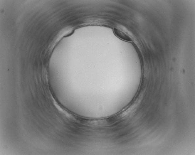 X0000074311433200609151956