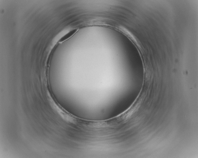 X0000074311434200609151956