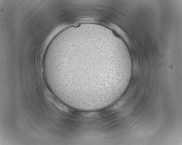 X0000074311435200609151956