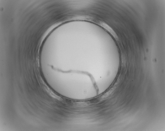 X0000074311436200609151956