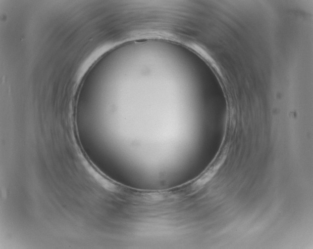 X0000074311438200609151956