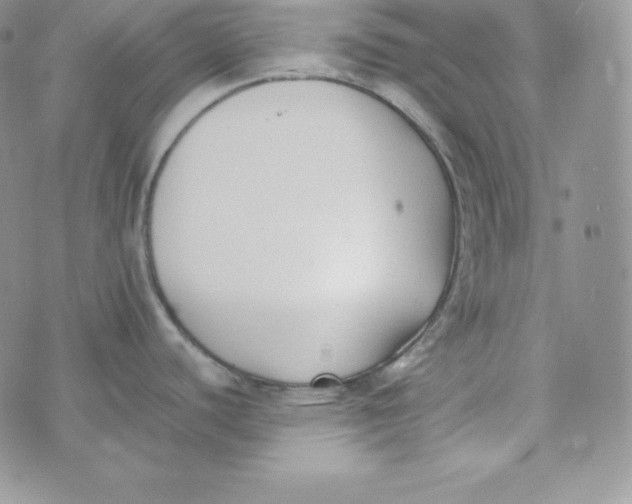 X0000074311440200609151956