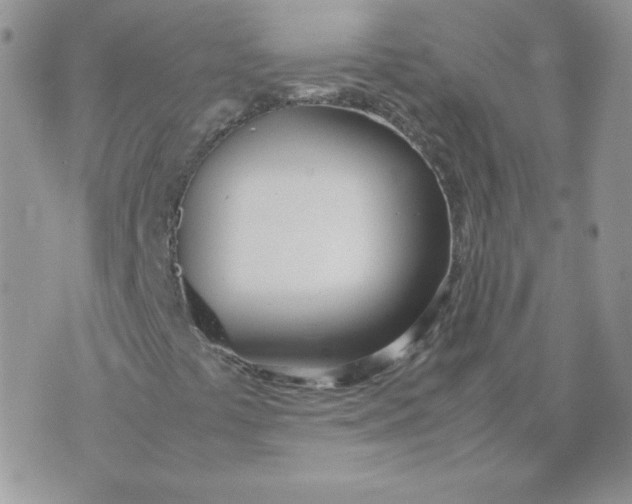 X0000074311441200609151955