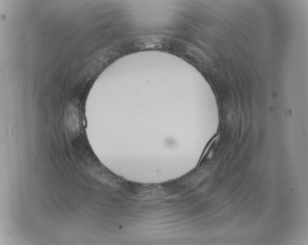 X0000074311442200609151955