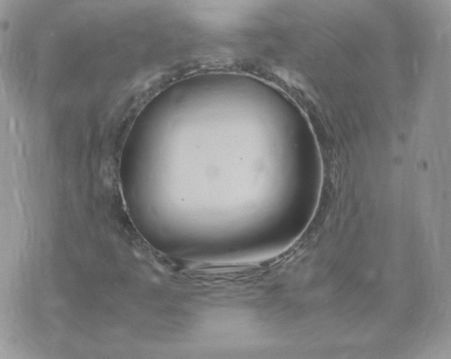 X0000074311445200609151955