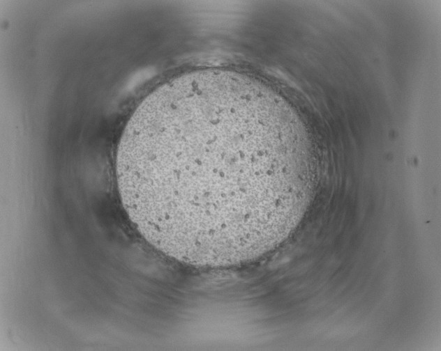 X0000074311446200609151955