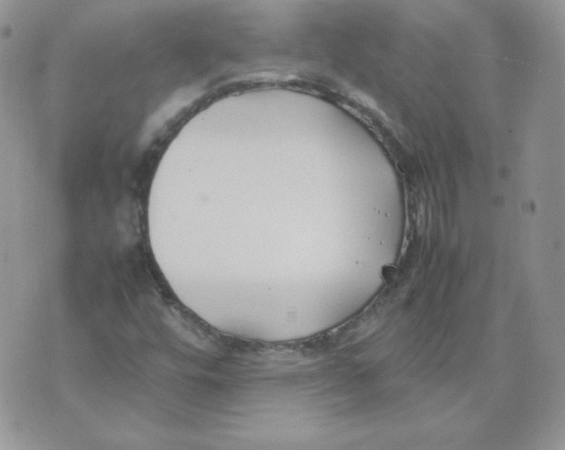 X0000074311448200609151955