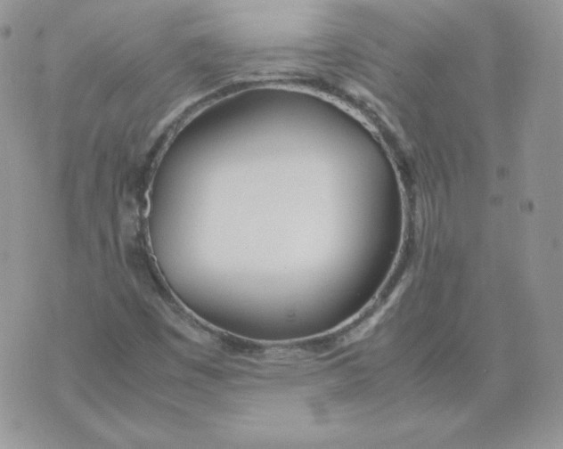 X0000074311449200609151955