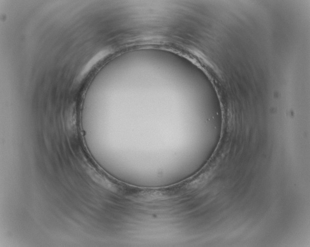 X0000074311450200609151955